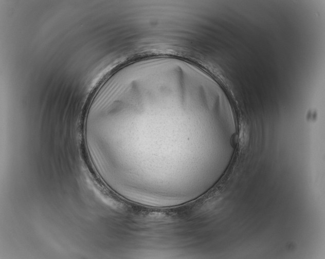 X0000111670390200908071502