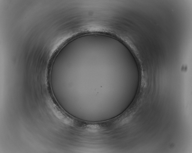 X0000111670391200908071502