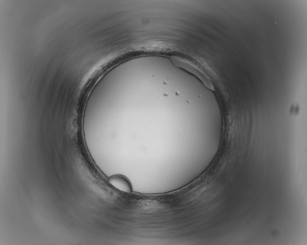 X0000111670392200908071502