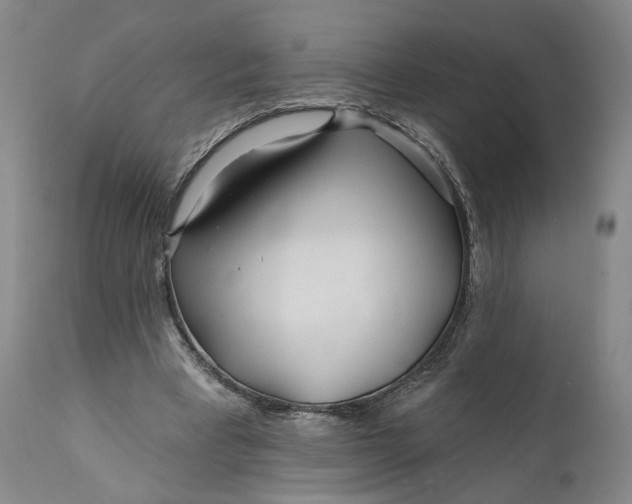 X0000111670393200908071502