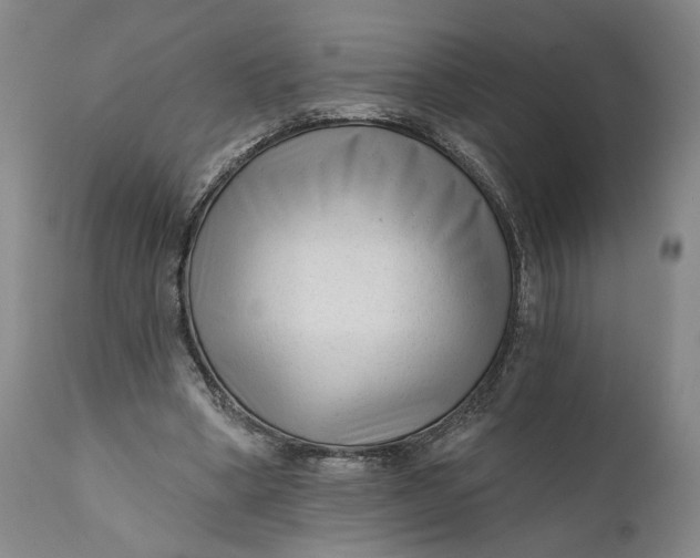 X0000111670394200908071502