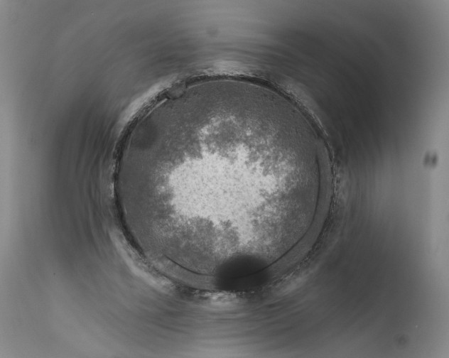 X0000111670395200908071502