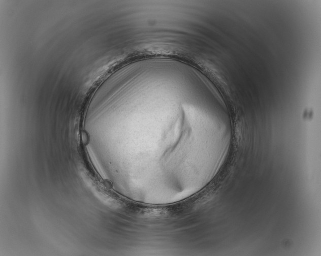 X0000111670398200908071502