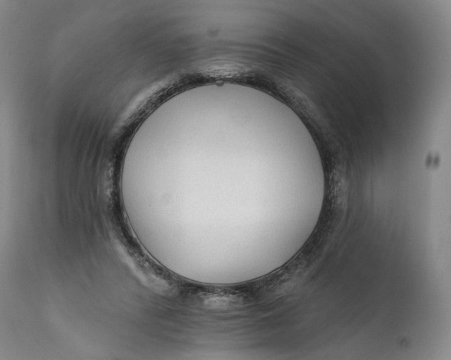 X0000111670400200908071502