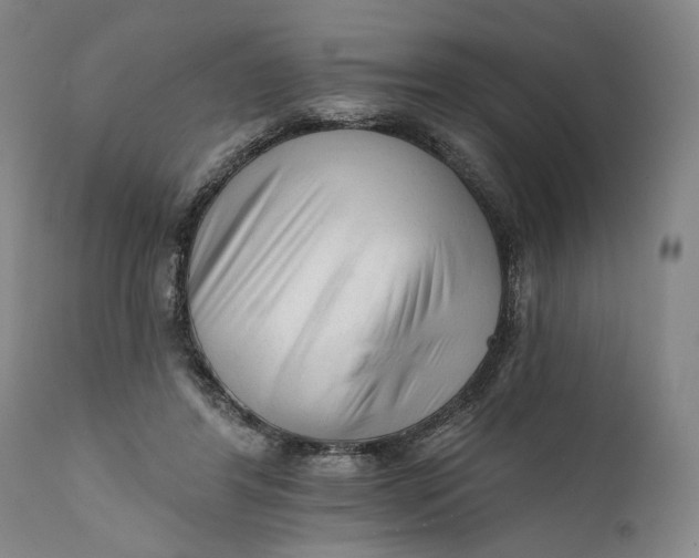 X0000111670404200908071502