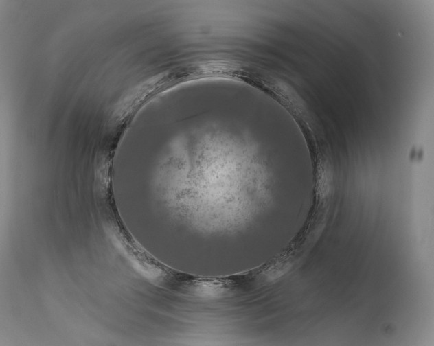 X0000111670405200908071502