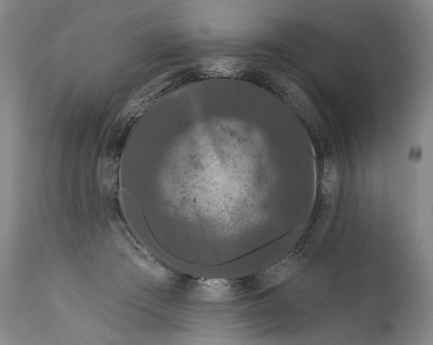 X0000111670409200908071502