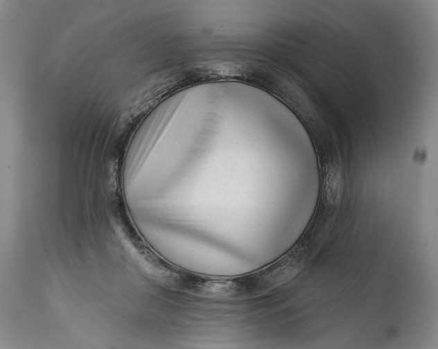 X0000111670410200908071502