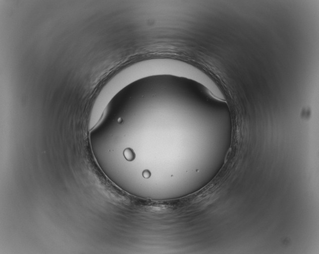 X0000111670411200908071502