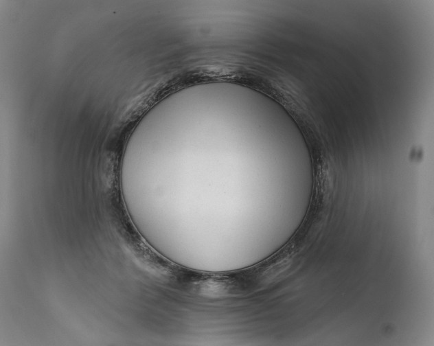 X0000111670412200908071502