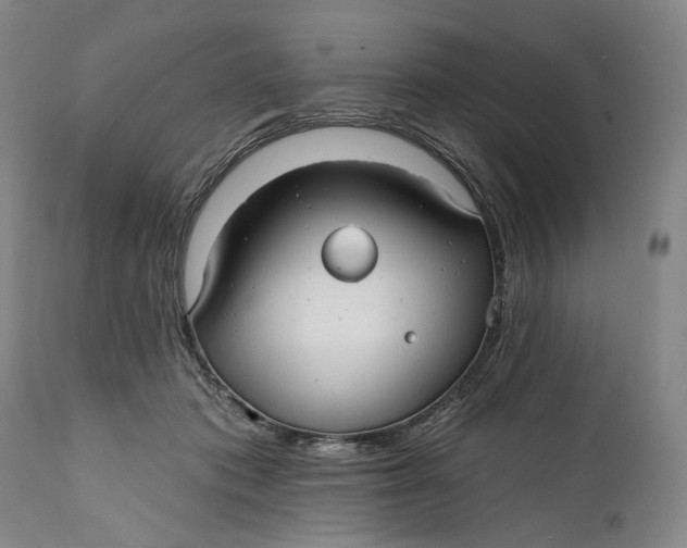 X0000111670413200908071502