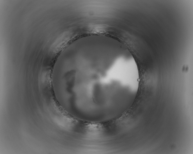 X0000111670415200908071502