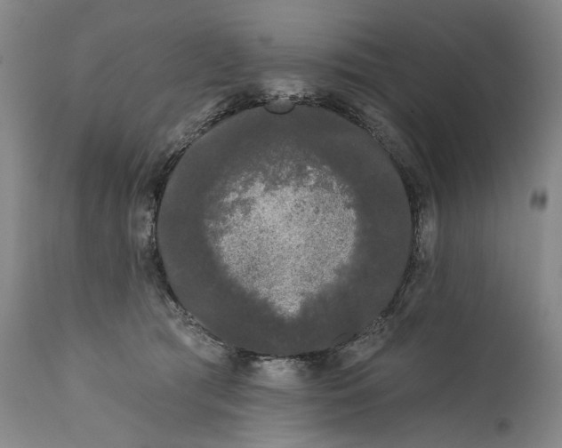 X0000111670417200908071502