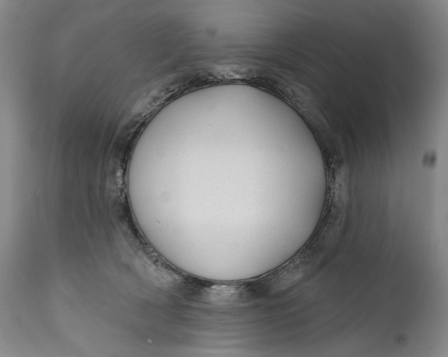 X0000111670418200908071502