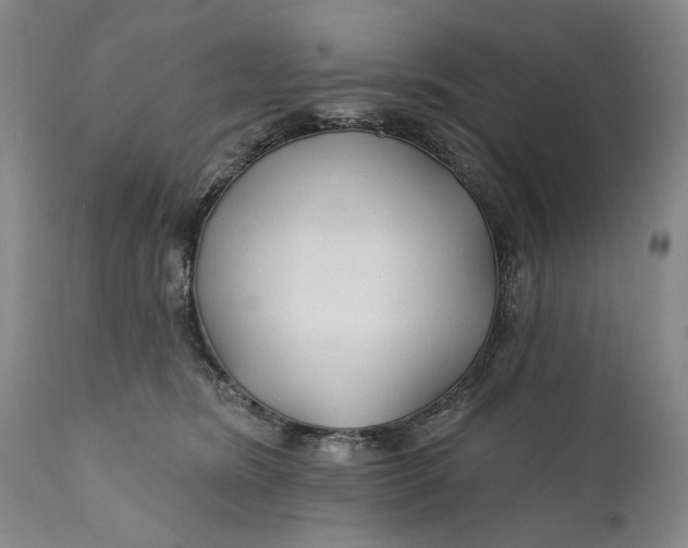 X0000111670420200908071502