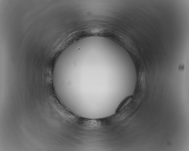 X0000111670421200908071502