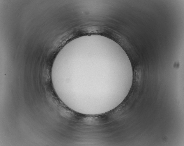 X0000111670422200908071502