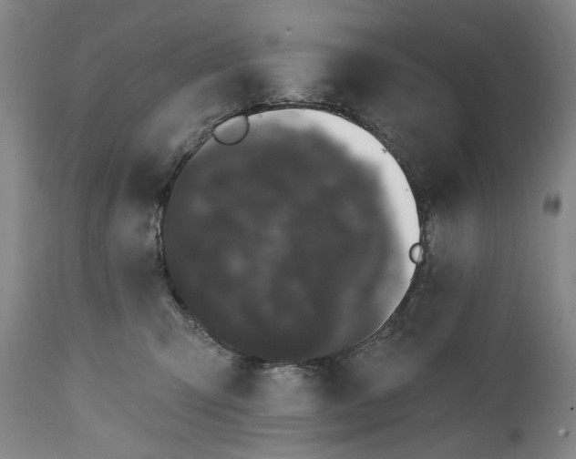 X0000111670423200908071501