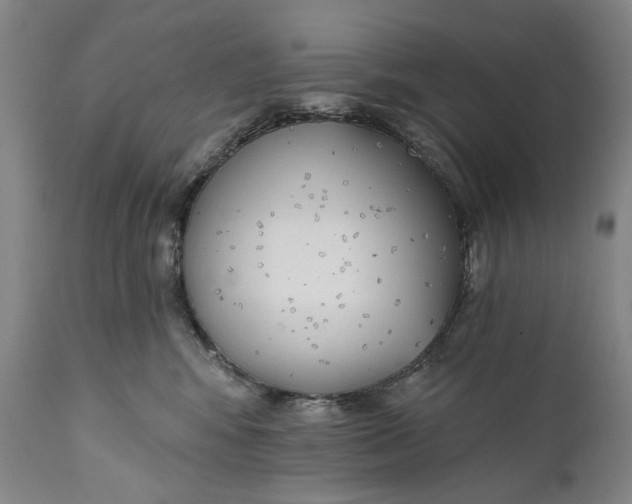 X0000111670424200908071501