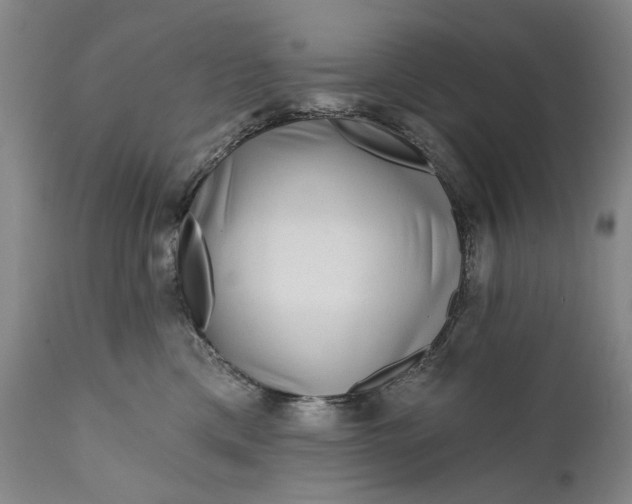 X0000111670425200908071501