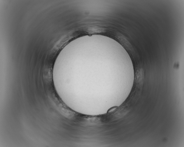 X0000111670426200908071501