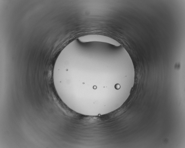 X0000111670427200908071501