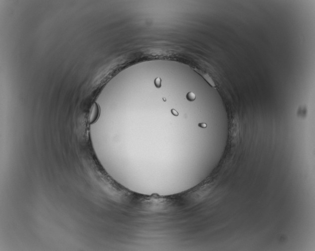 X0000111670428200908071501