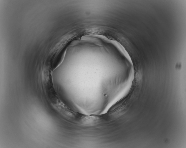 X0000111670429200908071501