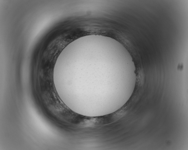 X0000111670430200908071501