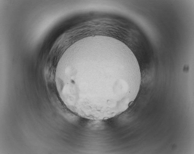 X0000111670431200908071501