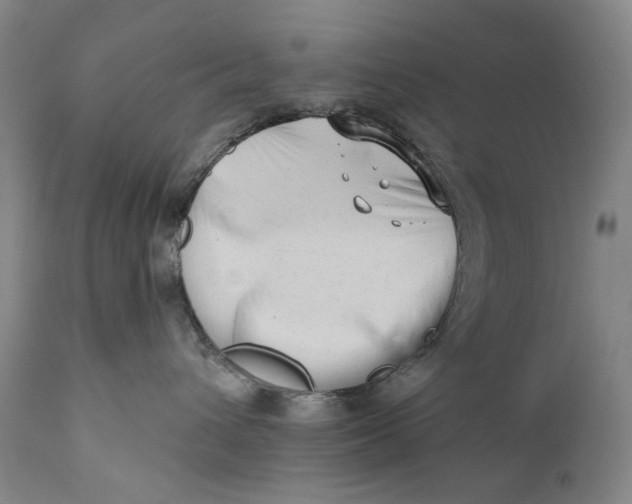 X0000111670432200908071501