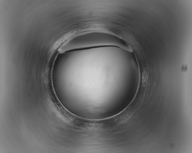 X0000111670436200908071501