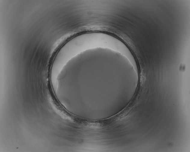 X0000111670438200908071501