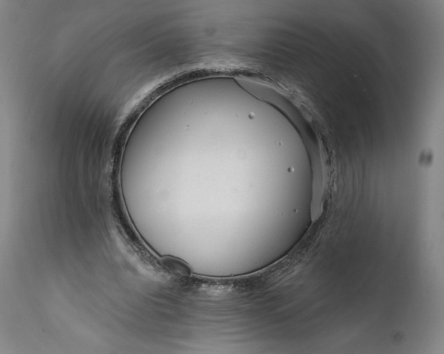 X0000111670440200908071501