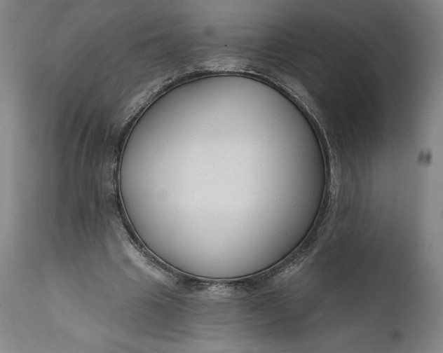 X0000111670441200908071501