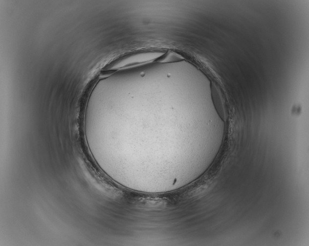 X0000111670443200908071501