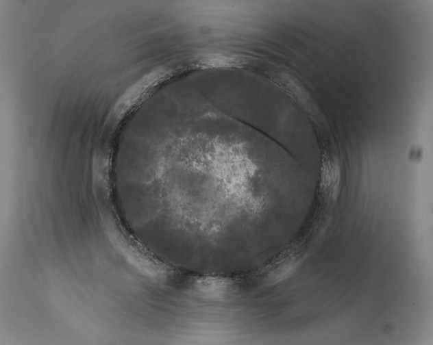 X0000111670444200908071501