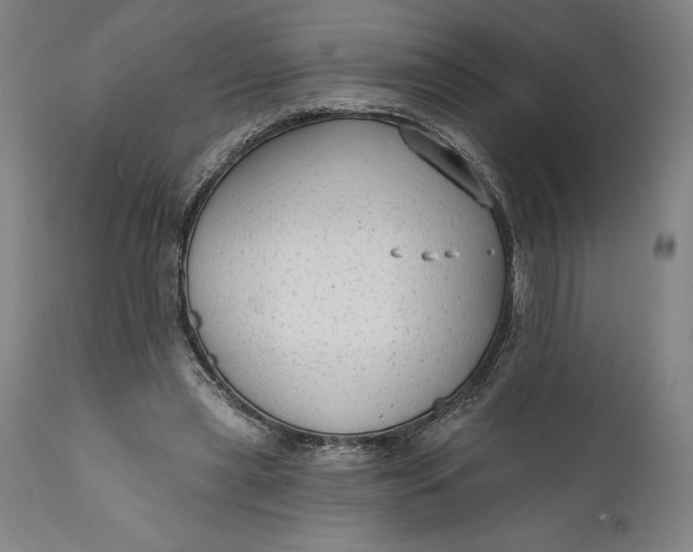 X0000111670445200908071501