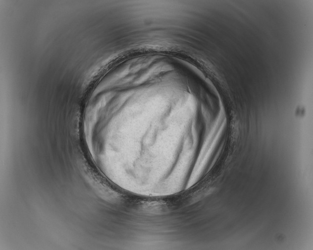 X0000111670446200908071501