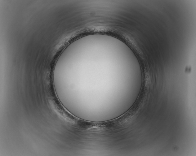 X0000111670447200908071501