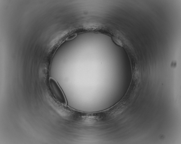 X0000111670448200908071501