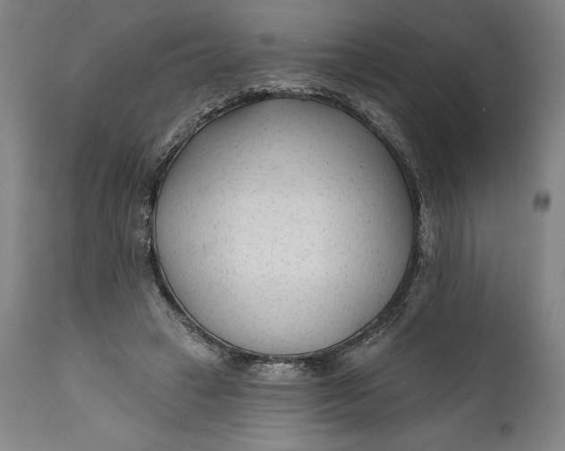 X0000111670449200908071501