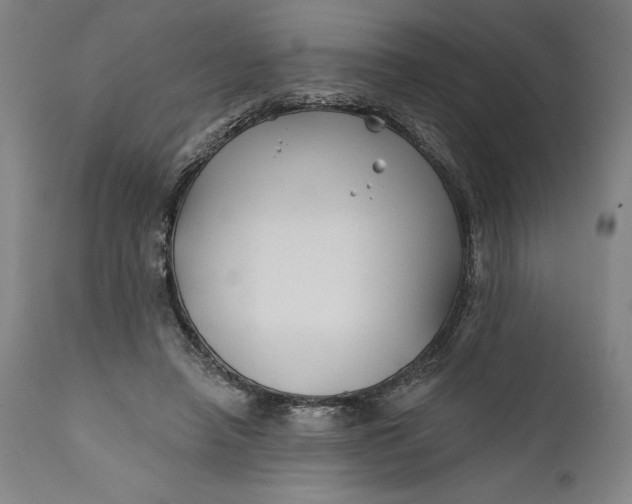 X0000111670450200908071501