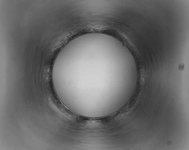 X0000111670451200908071501