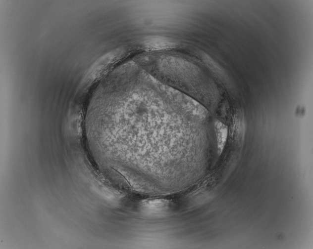 X0000111670452200908071501