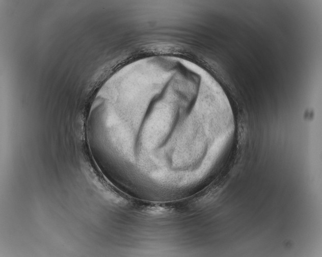 X0000111670453200908071501