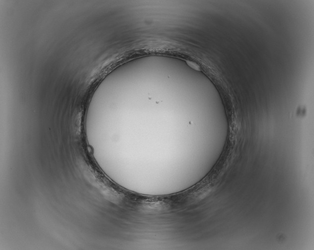 X0000111670454200908071501