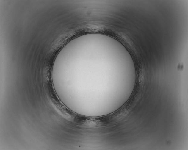 X0000111670455200908071501