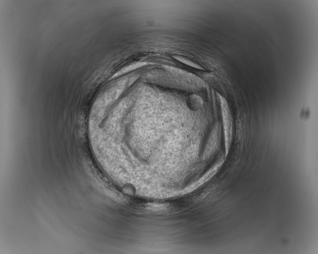 X0000111670457200908071501