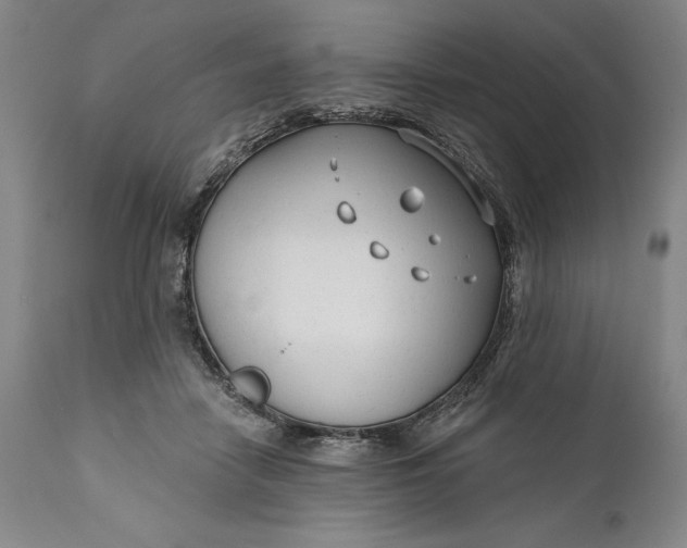 X0000111670458200908071501